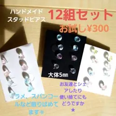 ハンドメイド樹脂スタッドピアス12組セット