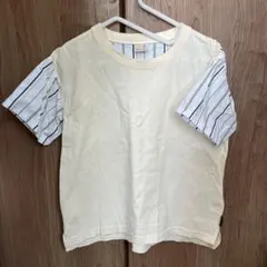 petit main 120 Tシャツ ストライプ袖
