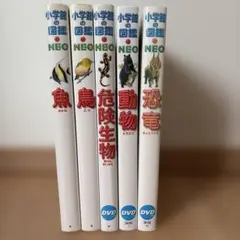 今だけ☆ 小学館の図鑑 NEO【13~17】5冊セット ❇️バラ売り可