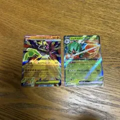 【新品2枚セット】メガジガルデex RR、ジュナイパーex RR