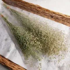 海ちゃん様 リクエスト 3点 まとめ商品