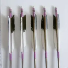 弓道 矢 5本セット EASTON XX75 2015 ジュラルミン 箆違いあり - メルカリ
