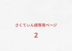 さくてぃん様専用ページ