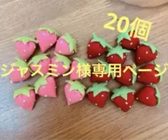 ジャスミン様専用ページ