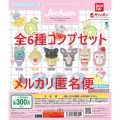 JOCHUM めじるしアクセサリー2 全6種コンプセット①
