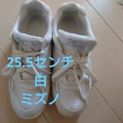 Mizuno ホワイト スニーカー　25.5センチ