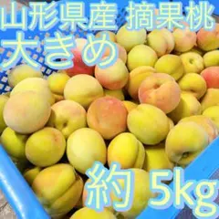 和歌山県産 完熟南高梅‼️L〜M混合‼️5kg みかんキング 家庭用 - メルカリ