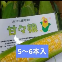 朝採り甘々娘とうもろこし ５〜６本入のサムネイル