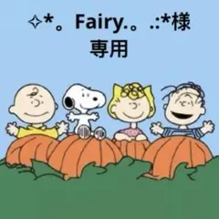 ✧*。Fairy.。.:*様専用2点