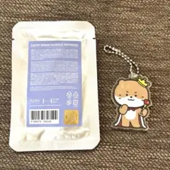 2025年最新】Miniteen seventeen ディノの人気アイテム - メルカリ