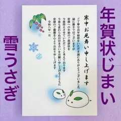 ひかる様★雪うさぎ　年賀状じまい　寒中見舞いはがき　10枚セット