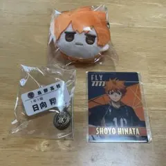 ハイキュー　日向　チャーム付きネームバッジコレクション　ぬいぐるみキーホルダー