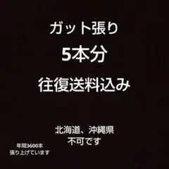 バドミントン　ガット張り　5本分　往復送料込み バドミントン ガット張り 5本分 往復送料込み - メルカリ