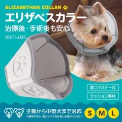 Item thumbnail for item 37f0d205-dae4-4bd2-8883-ab86835e87e1