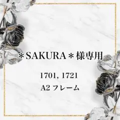 ＊SAKURA＊様専用