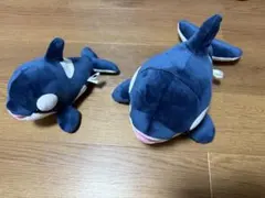 神戸須磨シーワールド シャチぬいぐるみ オルカくじ 3等 4等 ディープブルー