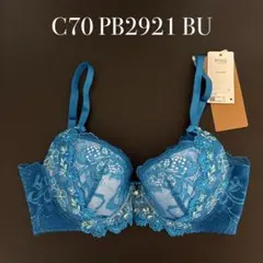 ワコール　ウイング　レシアージュ　C70セット　新品 2025年最新】ワコール レシアージュ c70の人気アイテム - メルカリ