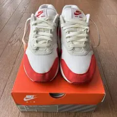 超レア・美品】NIKE AIR MAX 1 G ナイキ ゴルフ 27cm - メルカリ