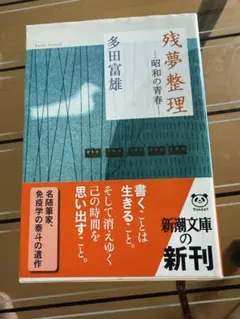 Item thumbnail for item e67d8158-3b1d-49be-bb77-087a747ee4da