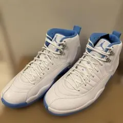 Air Jordan 12 RETRO 29cm