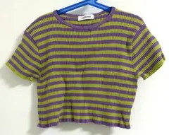 LAGUA GEM 紫緑ストライプ クロップドTシャツ
