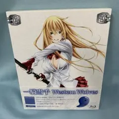 2025年最新】一騎当千 初回限定版の人気アイテム - メルカリ