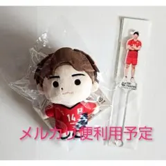 11/21まで＊　未開封　石川祐希　ぬいぐるみ　男子バレー　日本代表　ペルージャ