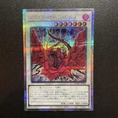 遊戯王 ブラック・ローズ・ドラゴン ブラックローズドラゴン 25th