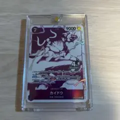 カイドウ EB04-030