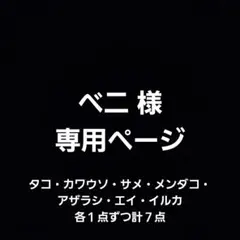 ベニ 様　専用ページ　　New値下げ品‼　マスコット　マリンパーク　水族館