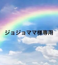 ⚫️ジョジョママ様専用⚫️