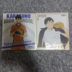Tobio Kageyama ブロマイド 2枚セット