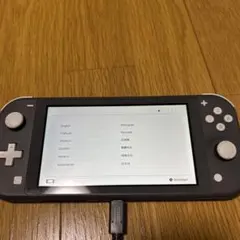 2025年最新】nintendo switch lite グレーの人気アイテム - メルカリ