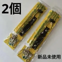 Item thumbnail for item 9ba8d6ad-8ada-4e8a-8542-e8f82d83025a