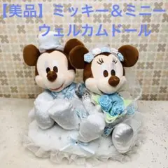 【美品】ディズニー ミッキー＆ミニー ウェディング ぬいぐるみ ウェルカムドール