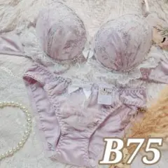 №1573【B75】フェアリーアンダーレースブラジャー＆フルバックショーツ