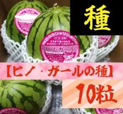 ZERO様 リクエスト 2点 まとめ商品