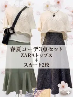 大人カジュアル コーデ売り 春夏ZARAトップス+NICE CLAUP他スカート