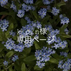 k o n様専用ページ