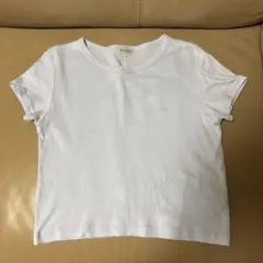 [steven alan]ライトブルー コットン短丈Tシャツ　日本製のサムネイル
