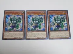 ダイナレスラーパンクラトプス　ノーマル　3枚組　※即発送a