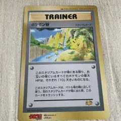 ポケモンカード ポケモンパルシティ バトルロードサマー☆2007関西大会