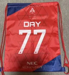 【非売品】1/17来場者限定 佐藤淑乃 NECレッドロケッツ川崎　ナップザック