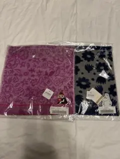 Item thumbnail for item 055474b4-c12e-42d4-a60b-681660c06496