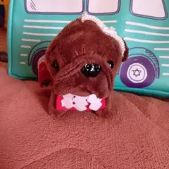 2026年最新】土佐犬の人気アイテム - メルカリ