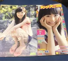 ヤングアニマル2015年　福原遥　BIGポスター付き