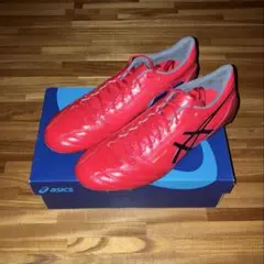 廃番品！レア！ASICS DS LIGHT X-FLY 3 SL TSI749 - メルカリ