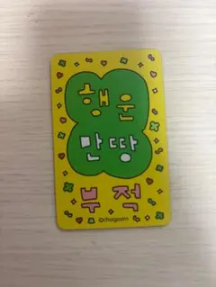 choigosim 鏡