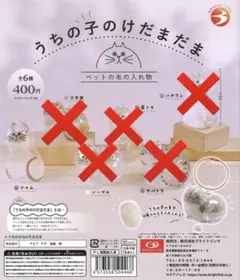 正規品　うちの子のけだまだま　猫　シャム　ガチャ　ペットの毛　ペットの毛の入れ物