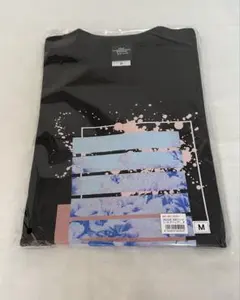 新品未開封】チュルリョーニス展 内なる星図 公式オリジナル 閃光ⅢT 